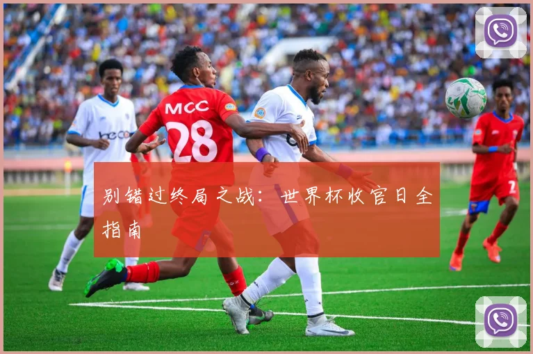 别错过终局之战：世界杯收官日全指南
