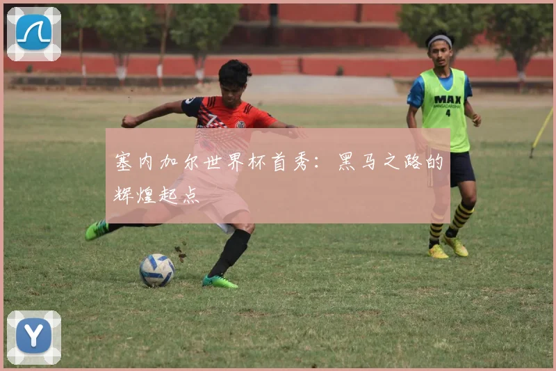 塞内加尔世界杯首秀：黑马之路的辉煌起点