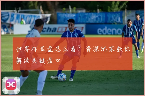 世界杯亚盘怎么看？资深玩家教你解读关键盘口