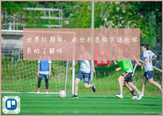 世界杯期间,这些彩票购买途径你真的了解吗