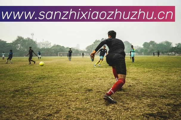 体育直播服务